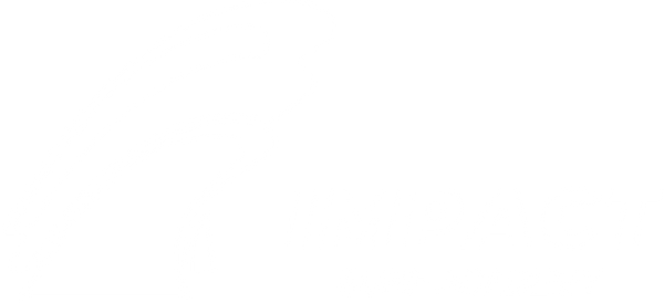 Impact Surf Academy